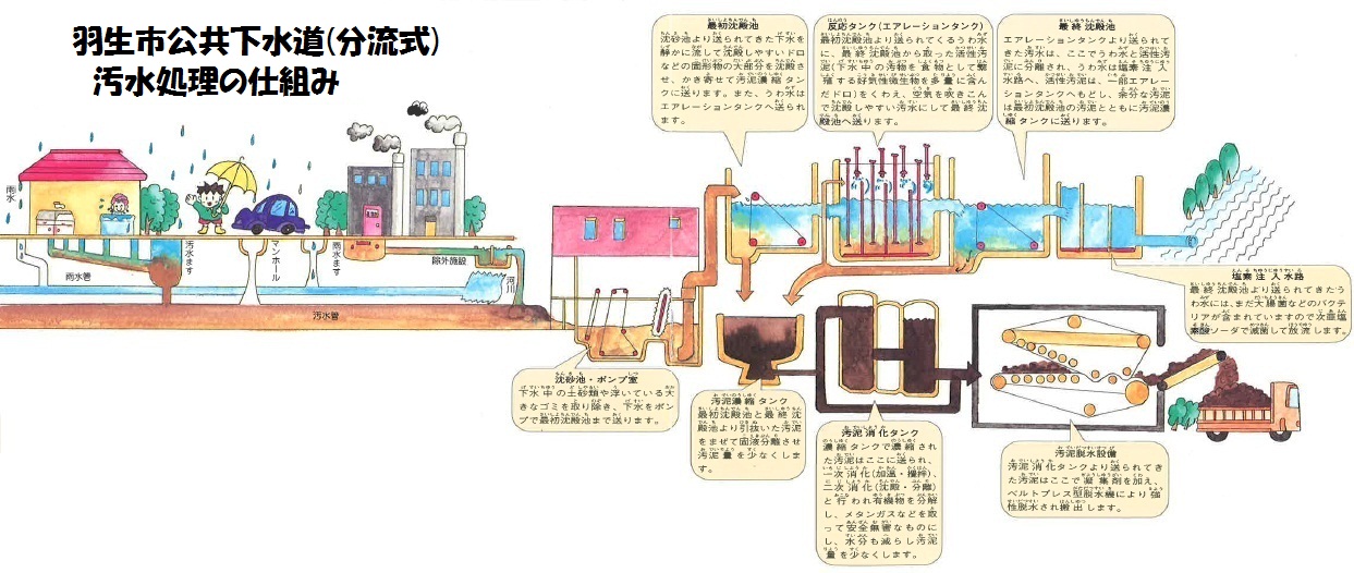 汚水処理のしくみ(分流式)