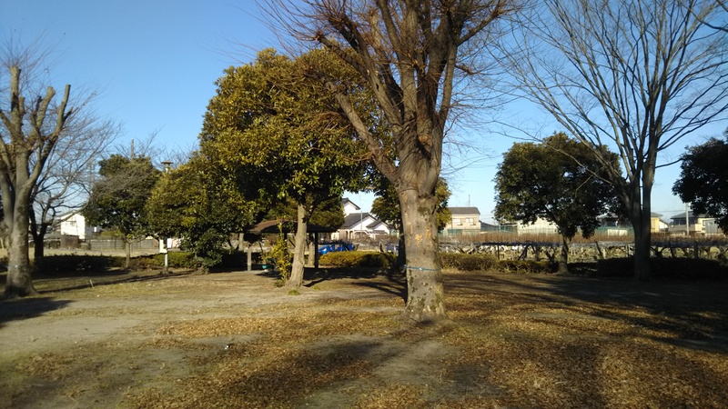 小松公園(３)
