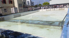 RIMG0033 プール掃除3