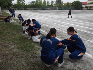 DSCF7219