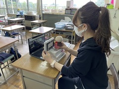 オンライン学習