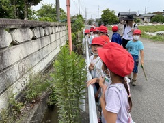 まちたんけん