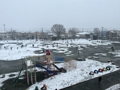 雪5