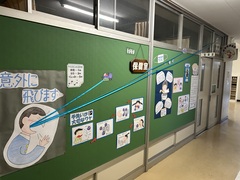 掲示