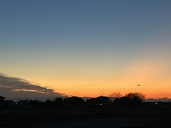 大掃除