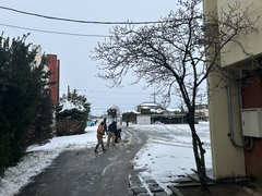 雪