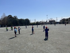IMG_3865 T7bo-ri