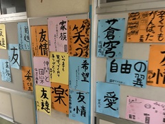 IMG_3874 T7bo-ri