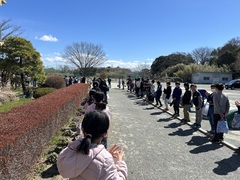 卒業論文