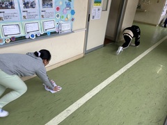 学校のために