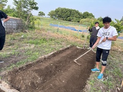 畝