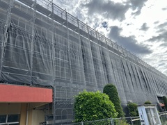 ぽこ