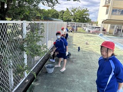 プール学習