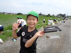ザリガニちゃん