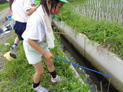 ザリガニちゃん