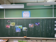 スイミー