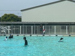 プール