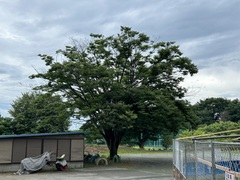 fumiduki 