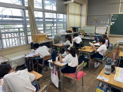 タマムシ