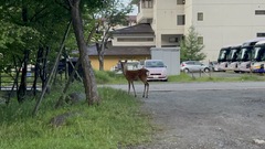 ２日目