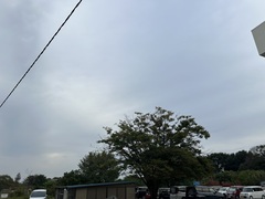 １１