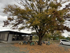 園児