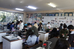 大きさ