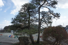 風の
