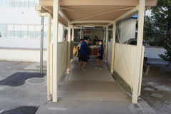 生茶