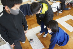 サボテン