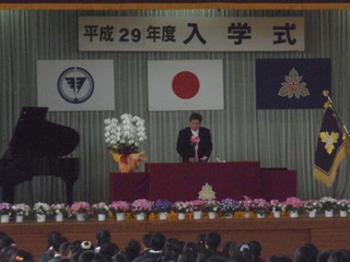 ２９入学１