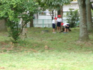 除草作業3