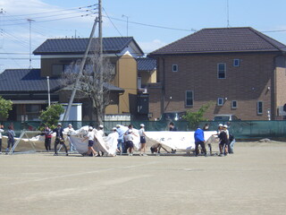 IMGP2507