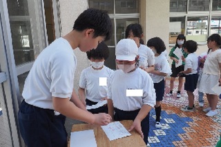 すかげランド１