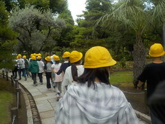 DSCN9981